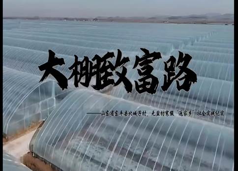 创作微视频